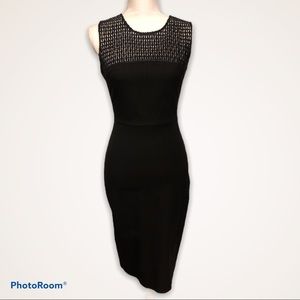 Banana Republic Roland Mouret Lace Yoke midi Dress